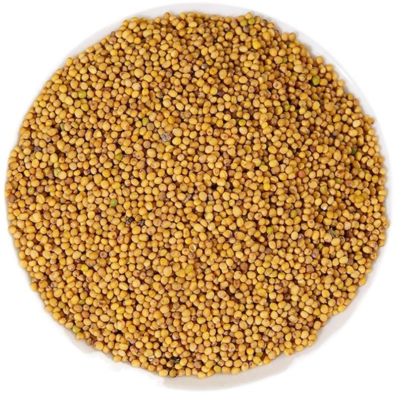 Yulin Spice Wholesale Bulk Dry Yellow Mustard Seeds Natural Raw Grain Food Mustard Seeds