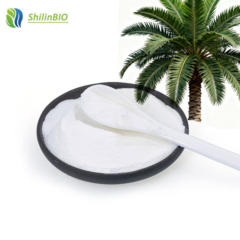 Wholesale Pure White Saw Palmetto Extract 25% Fatty Acid Powder Herbal Supplements Food Grade