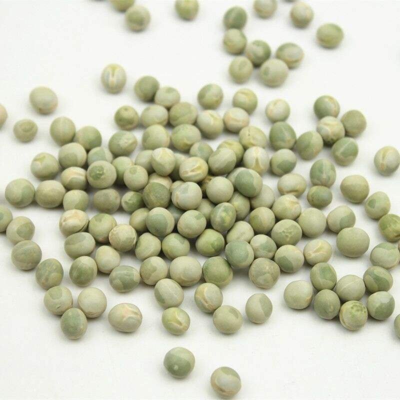 Wholesale Economic and Reliable Natural Freeze Dried Green Pea