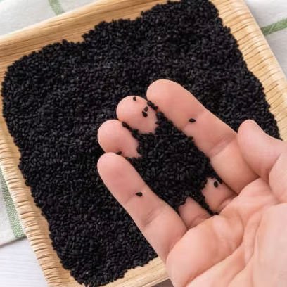 Premium Grade Kalonji Seeds | Double Sortex Clean Dried Raw | Wholesaler & Global Exporter Best Prices
