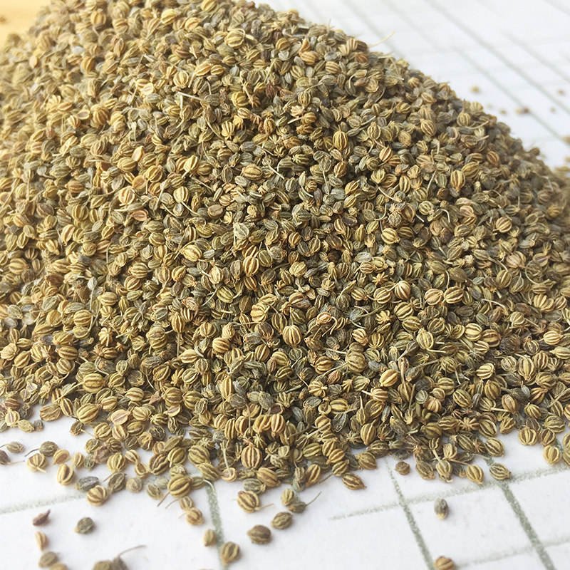 Best Price Bulk Dill Seeds Kitchen Spice Dill Seed Seasonings and Spices