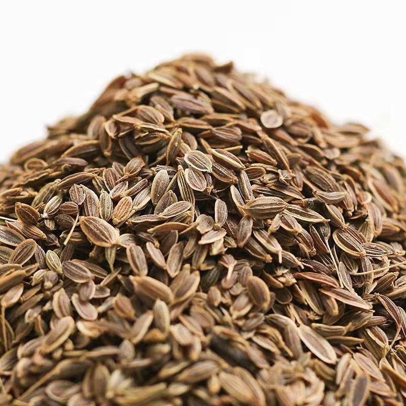 Factory Wholesale Single Spices Customization High Quality Pure Natural Raw Whole Anethum Graveolens Dry Dill Seeds