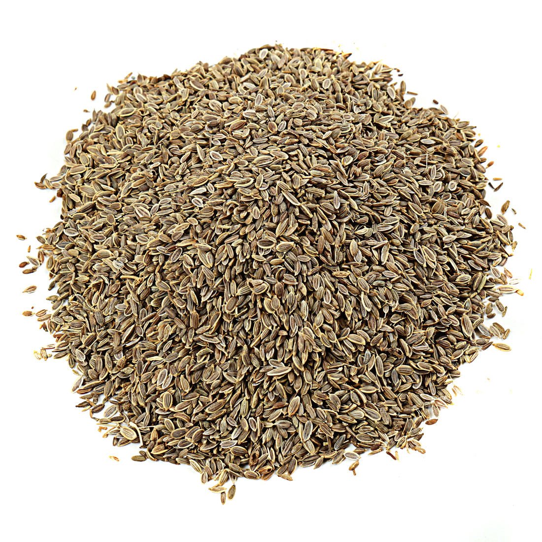 Dill Seeds (Anthem Graveolens) Food Grade 25kg Bags Indian Herb & Spice