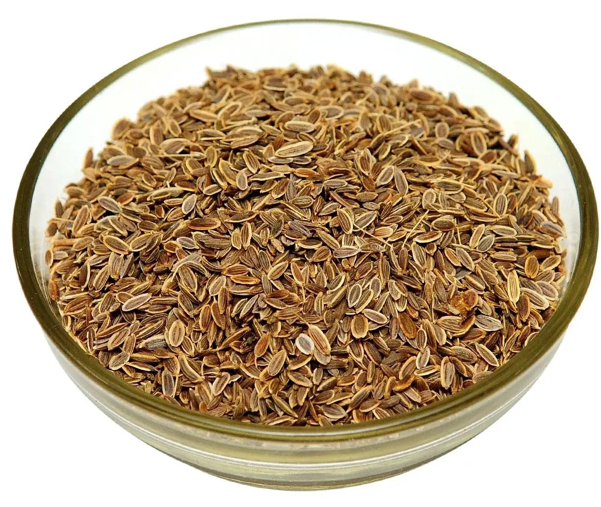 Wholesale Dill Seeds Premium Quality Natural Suva Seeds Aromatic Spice With Fresh Flavor For Cooking Seasoning Bulk India Export