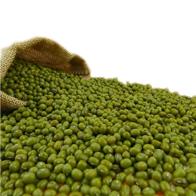 Nihewan Green Gram Vigna Green Beans Mung Beans Green Moong