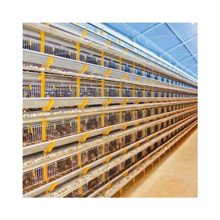 Patented Equipment Layer Quail Breeding Cages With Automatic Remove the Manure System
