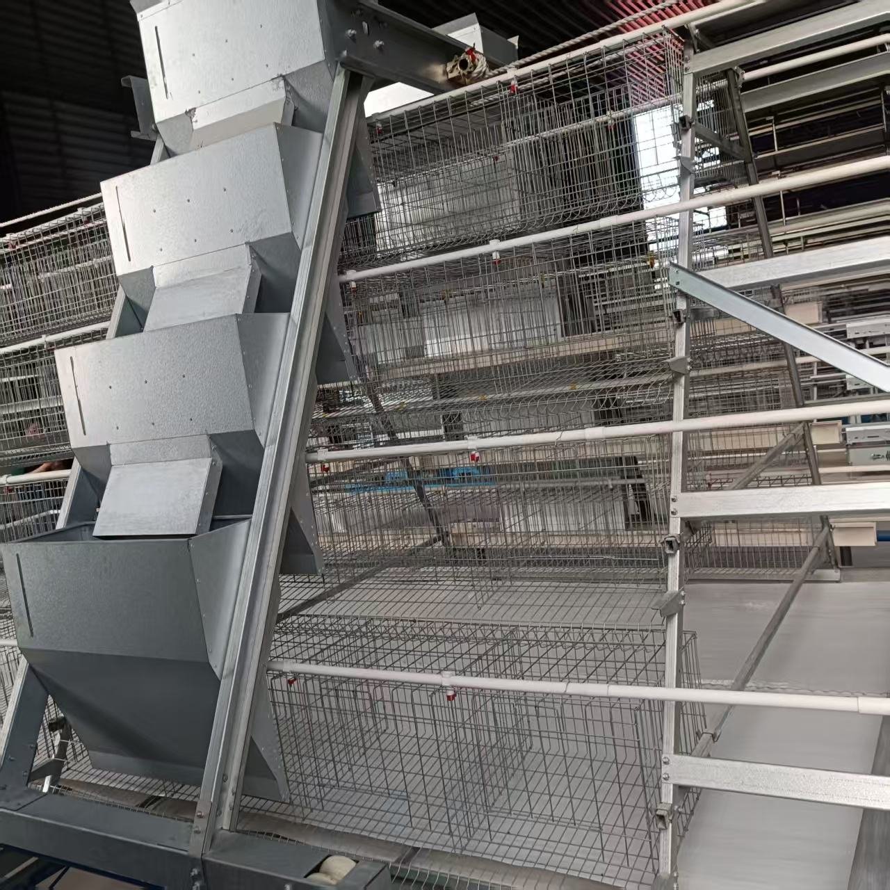 New Animal Husbandry Equipment Tiers Chicken Cage with Manure Belt Galvanized Steel Construction Low Noise for Farm Use
