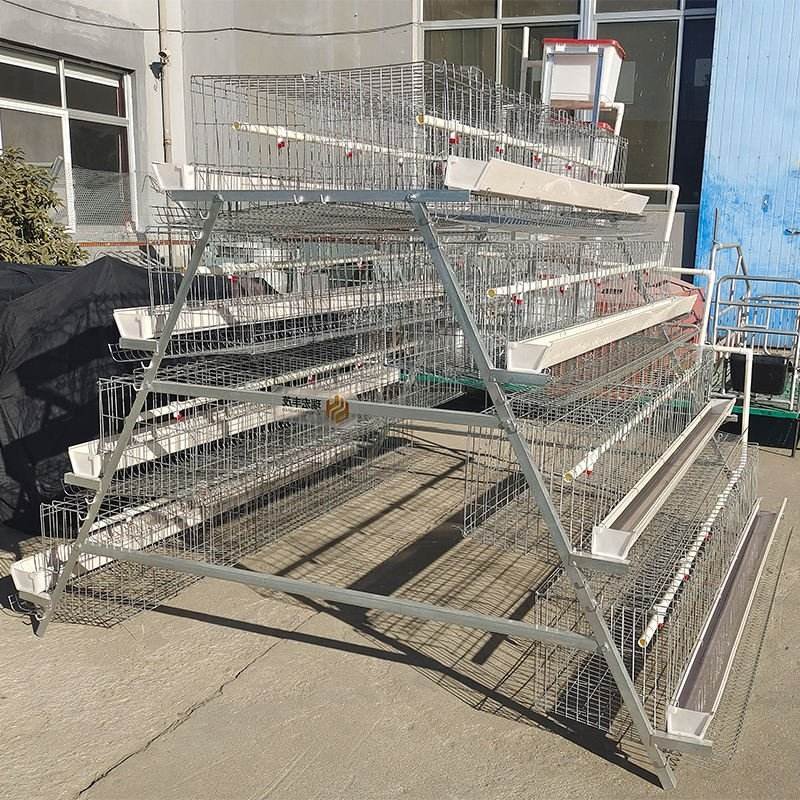 New Automatic Galvanized Steel A-Type Layer Battery Cage with Flexible Manufacturing for Egg Laying Hens and Chicken Farming