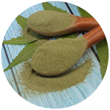 Premium Micro Fine Neem Powder for Anti Aging Face Mask and Glowing Complexion Organic Ayurvedic Herb