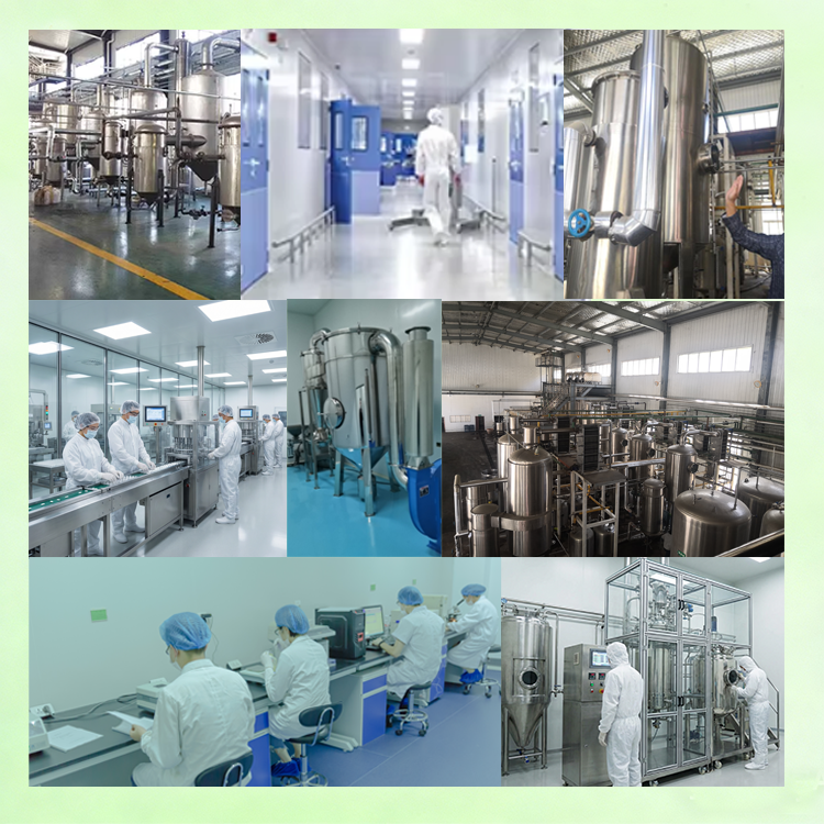 Food Grade Fungal Alpha Amylase Enzyme Powder for Baking Brewing and Starch Processing
